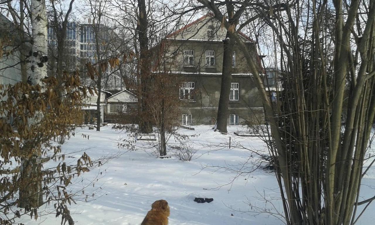 29 Avenue Krakow